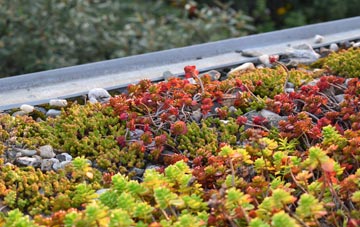 the cost of Boulby green roof installation